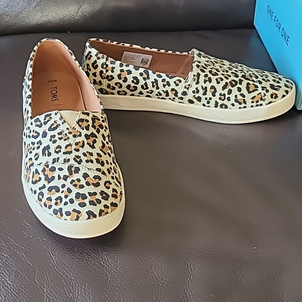 Womens Toms
